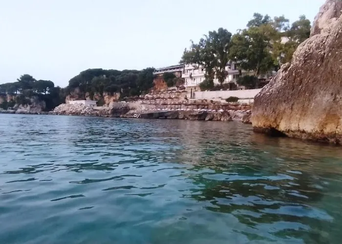 Matthews House 别墅